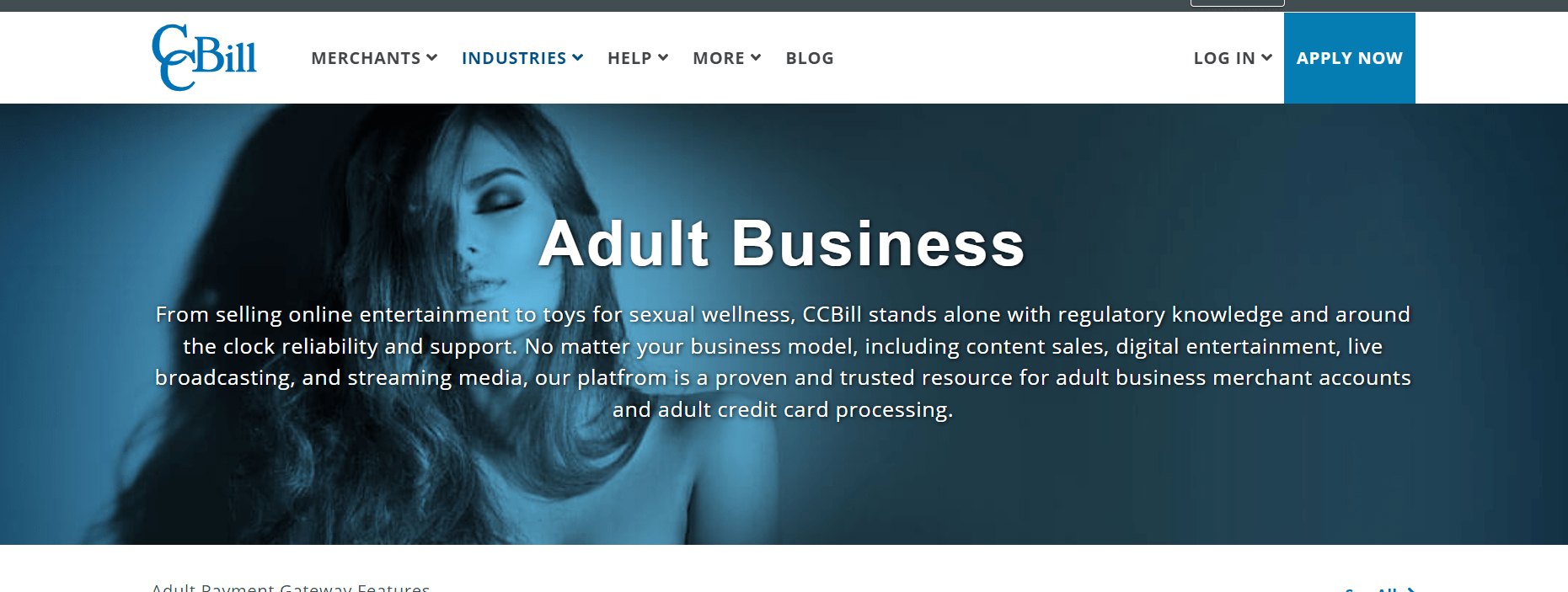 CCBILL - the best adult content payment processor