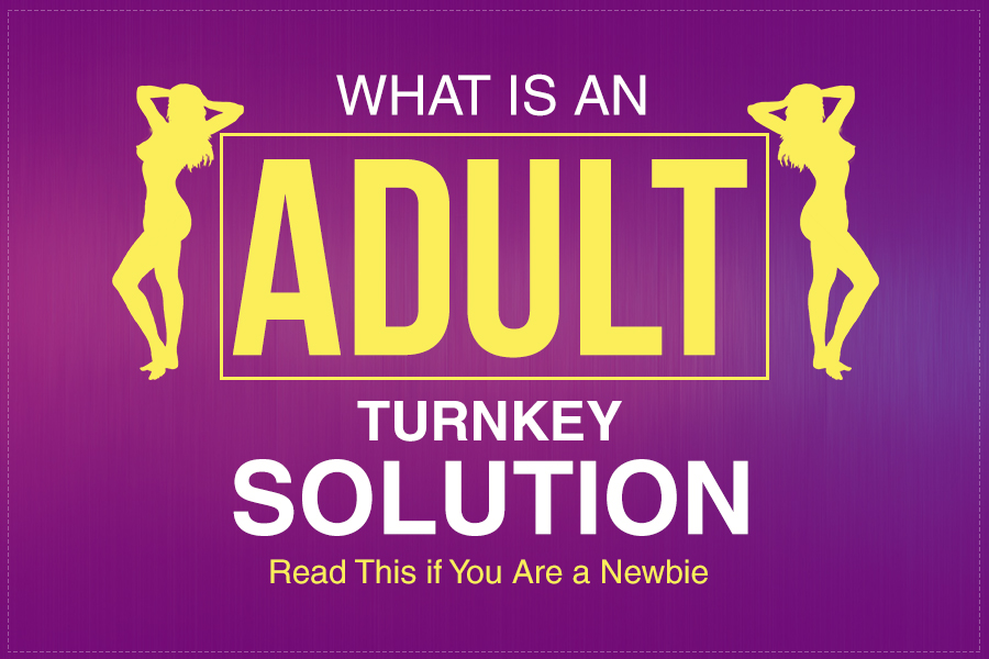 Assistance With Adult Turn Key Website