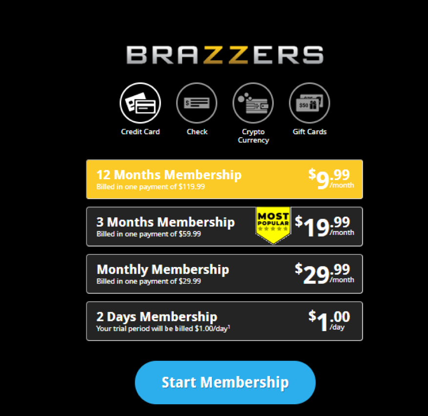 Reality Kings And Brazzers Business Model Of This Two Subscription