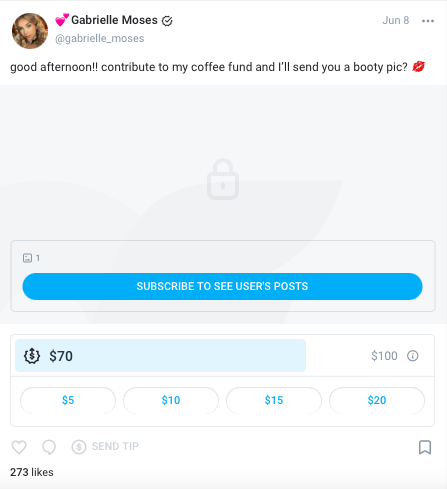 screenshot of what tip fundraising looks like in OnlyFans