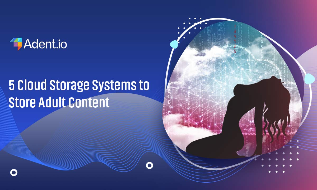 5 Cloud Storage Systems to Store Adult Content