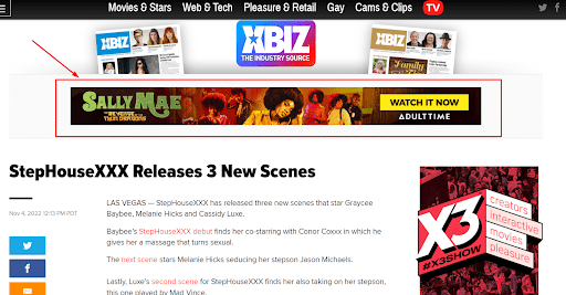 Screenshot of porn business studio promoting it new video release on XBIZ