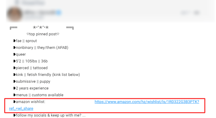 Model makes money by adding amazon wishlist to her Fansly page