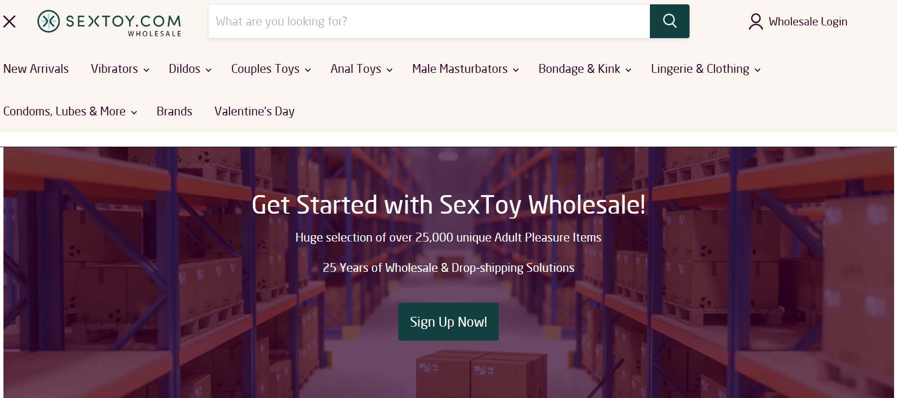 SexToys’s Site Product Range
