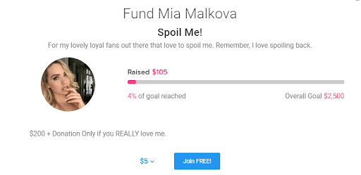 Screenshot of Fundraising on Manyvids website to make money