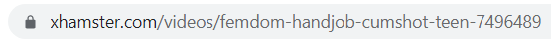 screenshot of optimizing porn site url -example 1