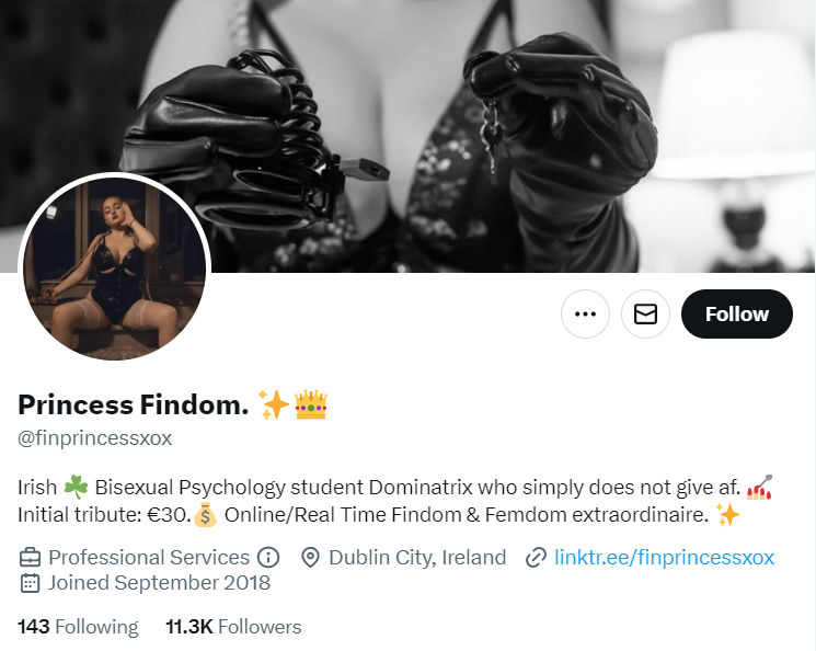 princess findom twitter profile