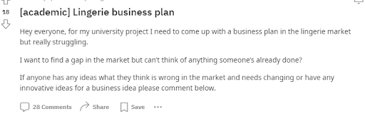 Lingerie Business Plan-1