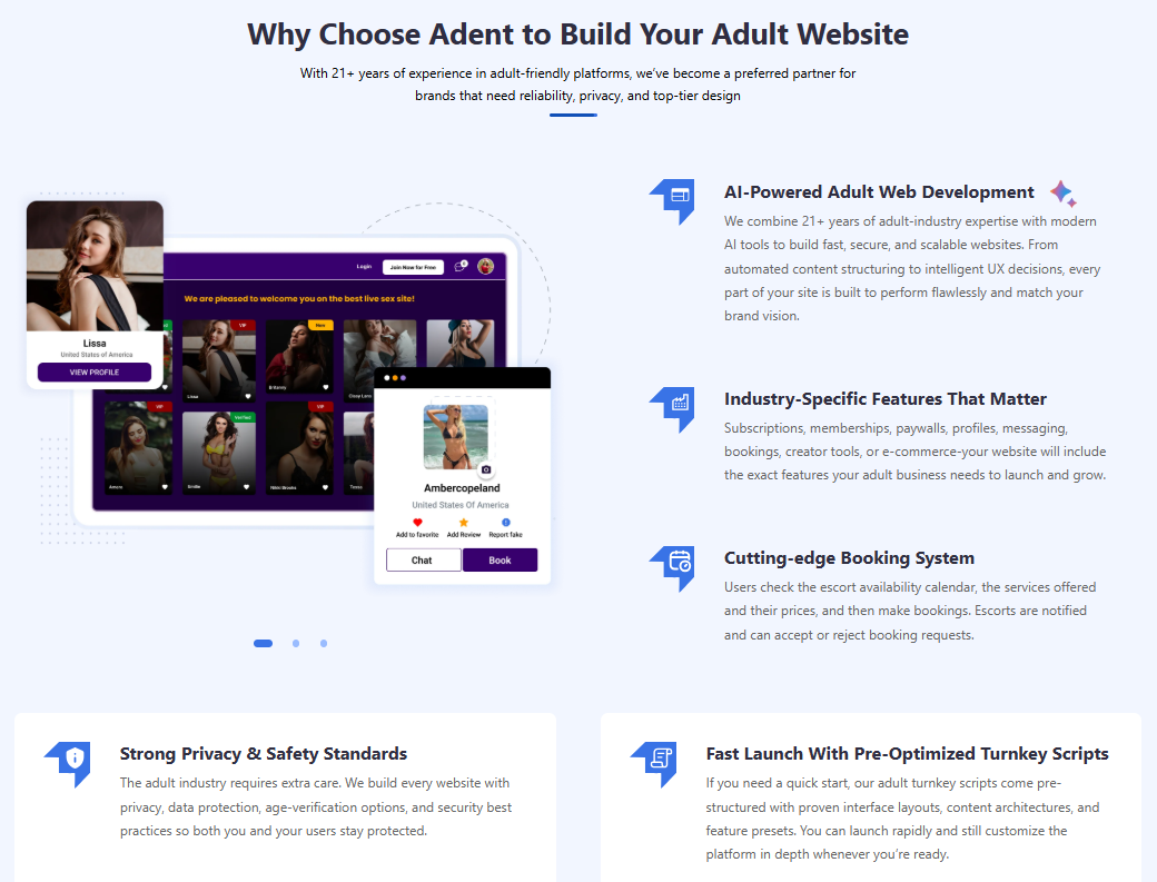 Reasons For Choosing Adent-io to Build Adult Website.png