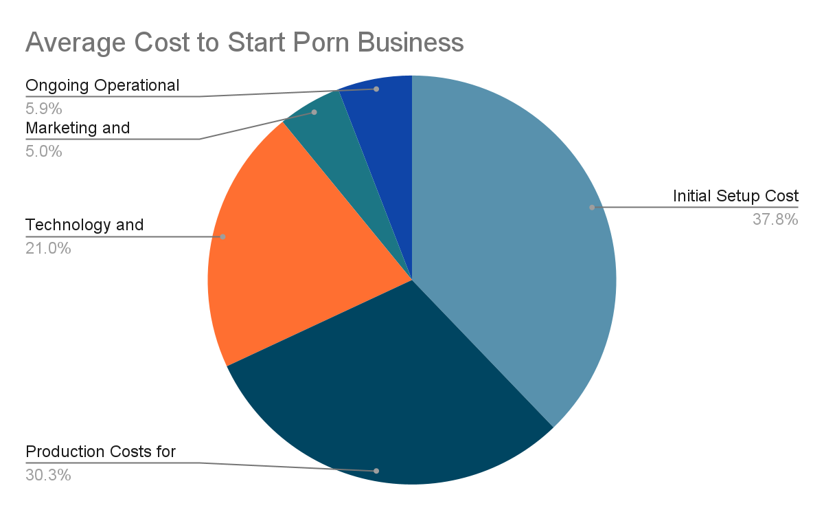 Average Costs to Start Porn Business