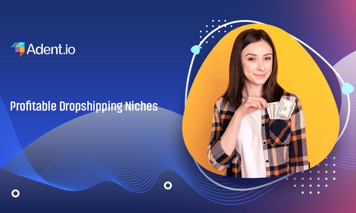 Dropshipping Niches