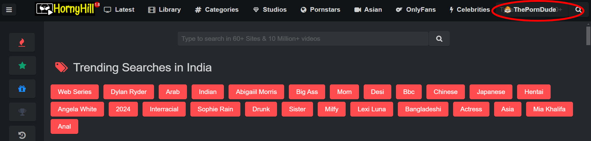 Example of Listing a Paid Link Under a Porn Aggregator Website 