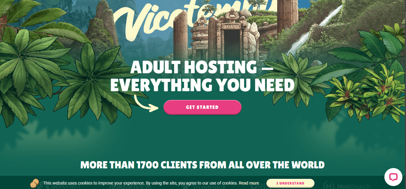 ViceTemple Server for adult website hosting