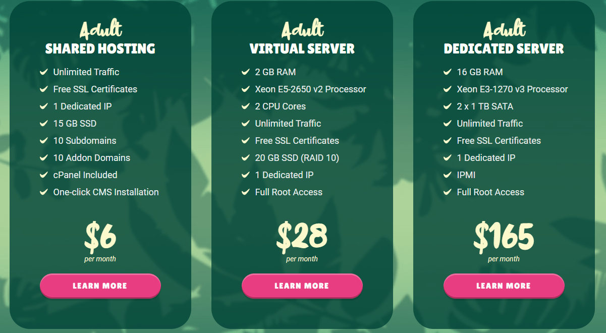 Vicetemple's Shared, VPS, and Dedicated Server Plans