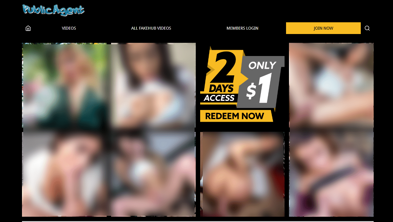 Public Agent Porn Membership Website With Content Around Party Theme