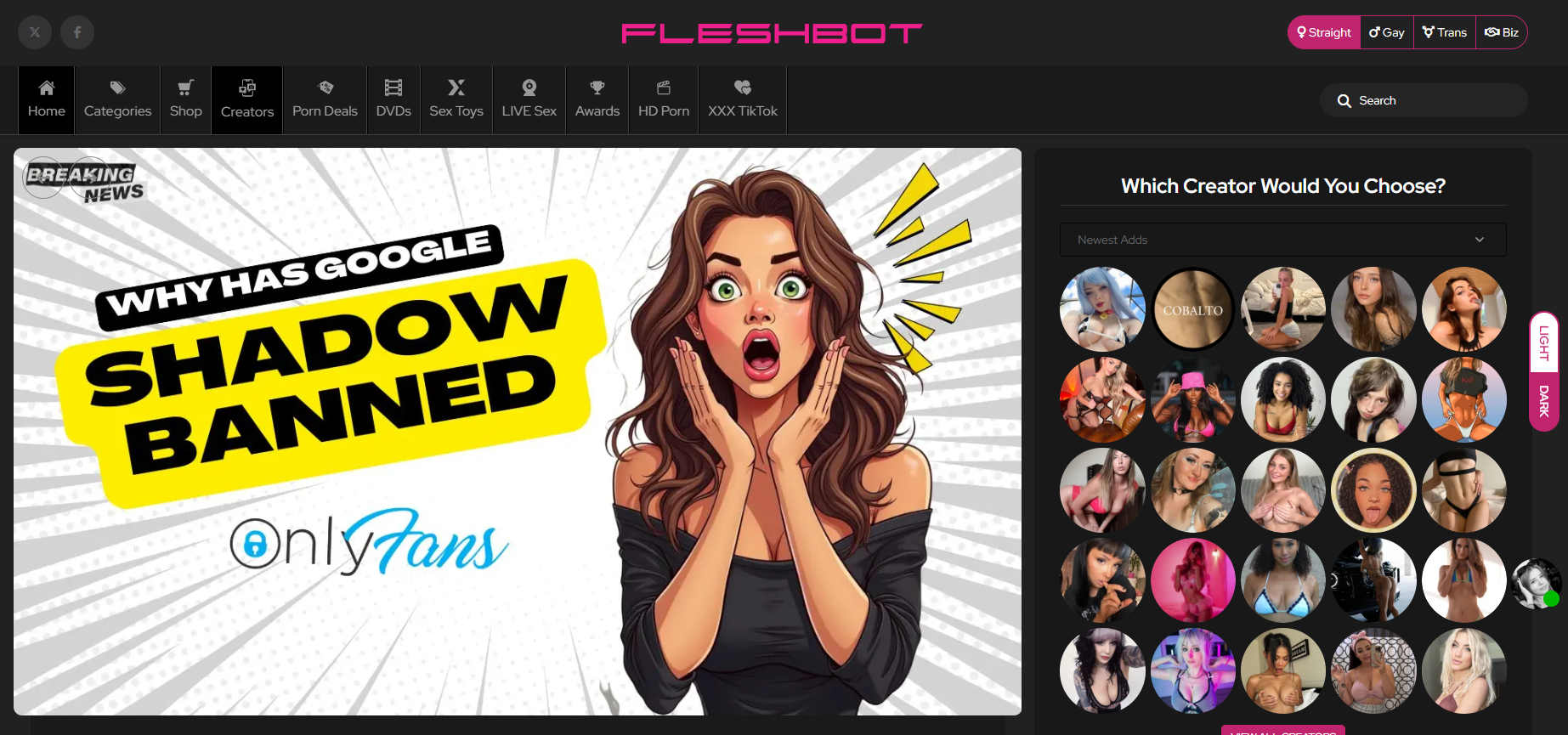 screenshot of fleshbot the website to earn