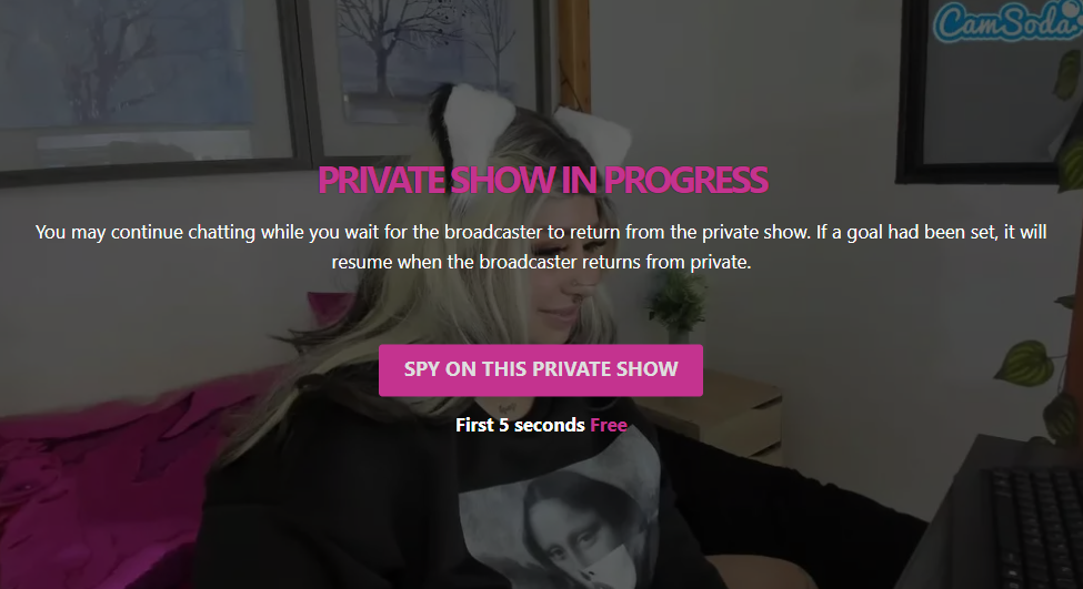 CamSoda private show screen with spy mode option