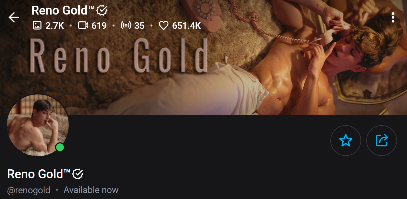 Profile and banner picture of OnlyFans creator Reno Gold with perfect lighting and niche presentation, showcasing the process of becoming OnlyFans creator