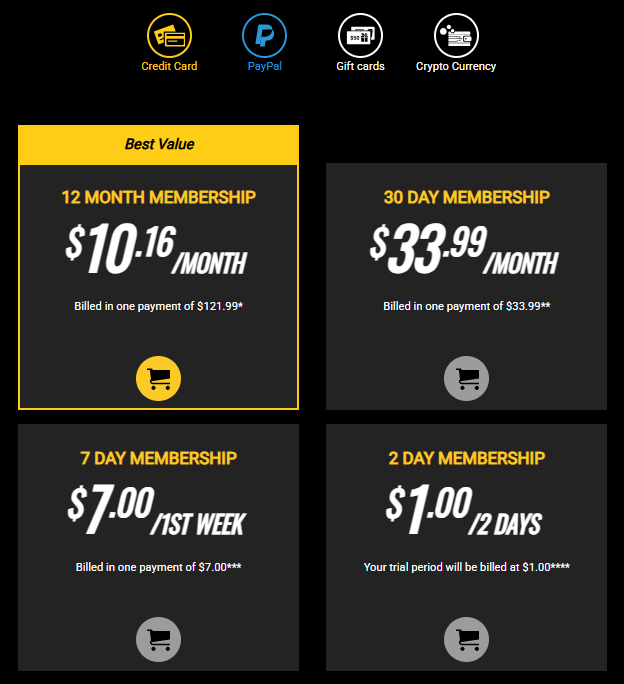 Membership Plans of Porn Website