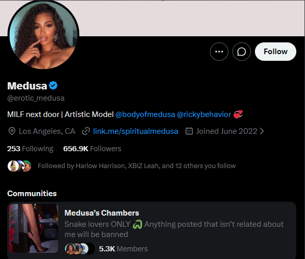 Medusa X Account and Her Personal Community